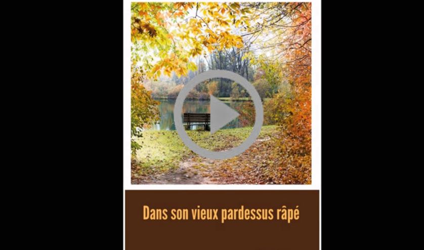 28.05 web