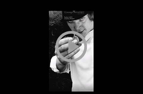 Bookface WEB