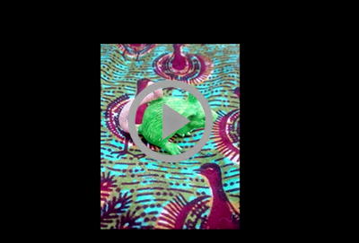 Souris verte web