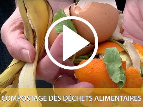 Vignette Video Compostage
