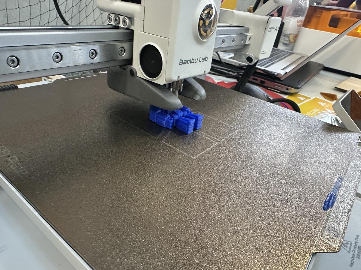 IPHPleinLesBots-31
