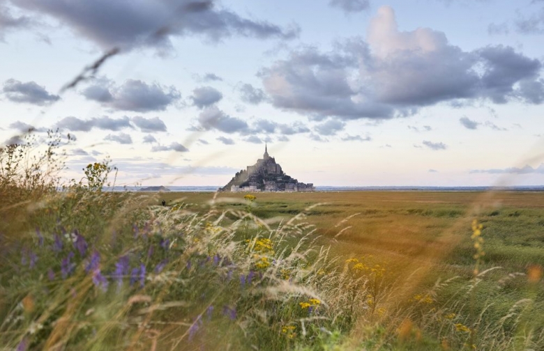 Stratégie environnementale
