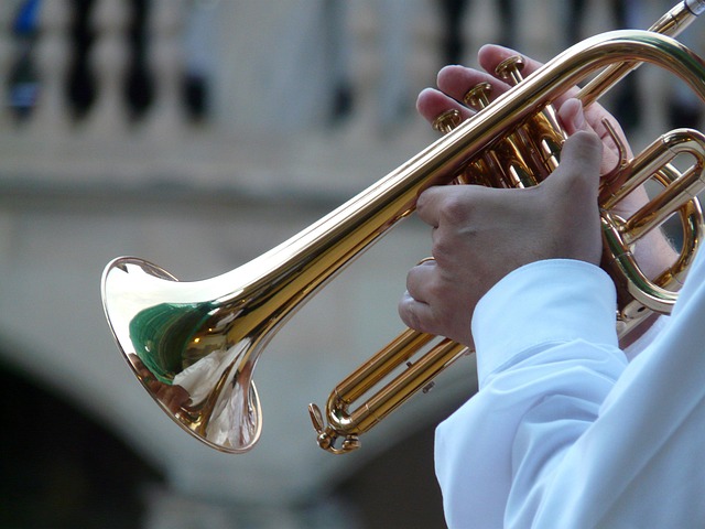 trumpet player 8455 640