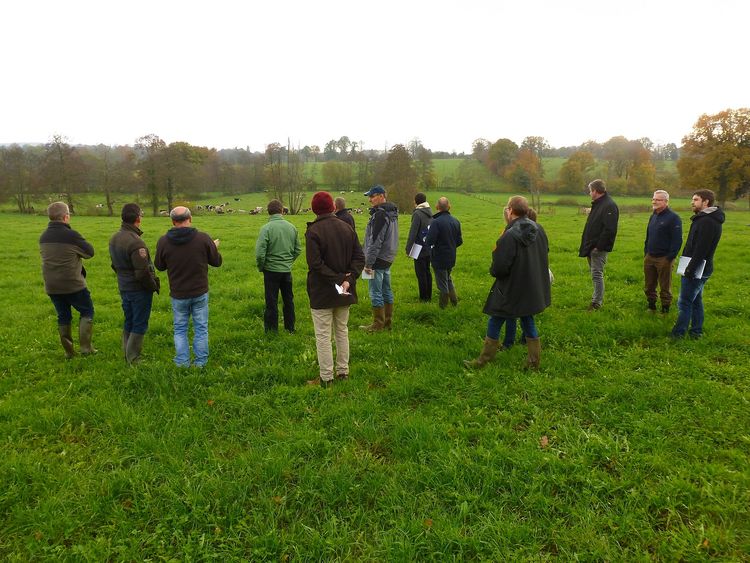 Atelier terrain web