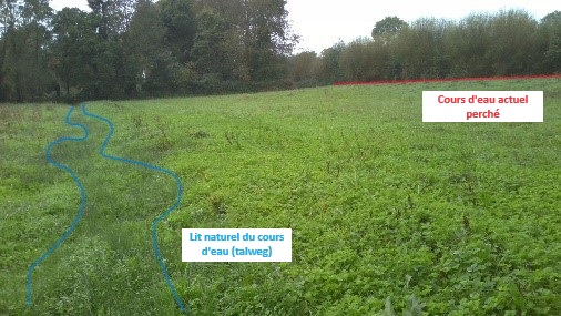 Photo 16 altération CE perché V2