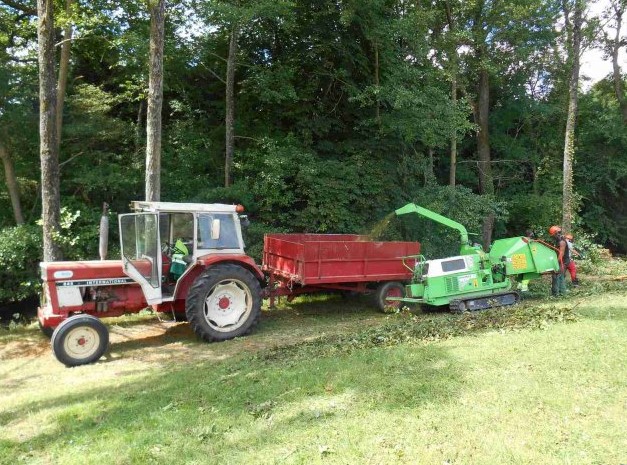 Photo 22 restauration végétation