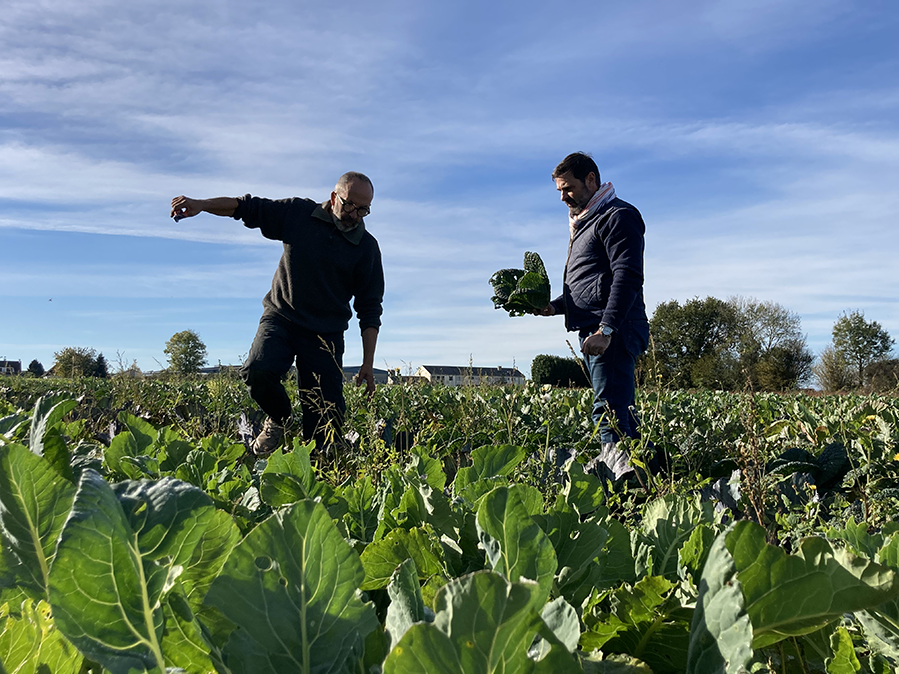 zone du rocher maraichage. deux personnes récoltent les cultures