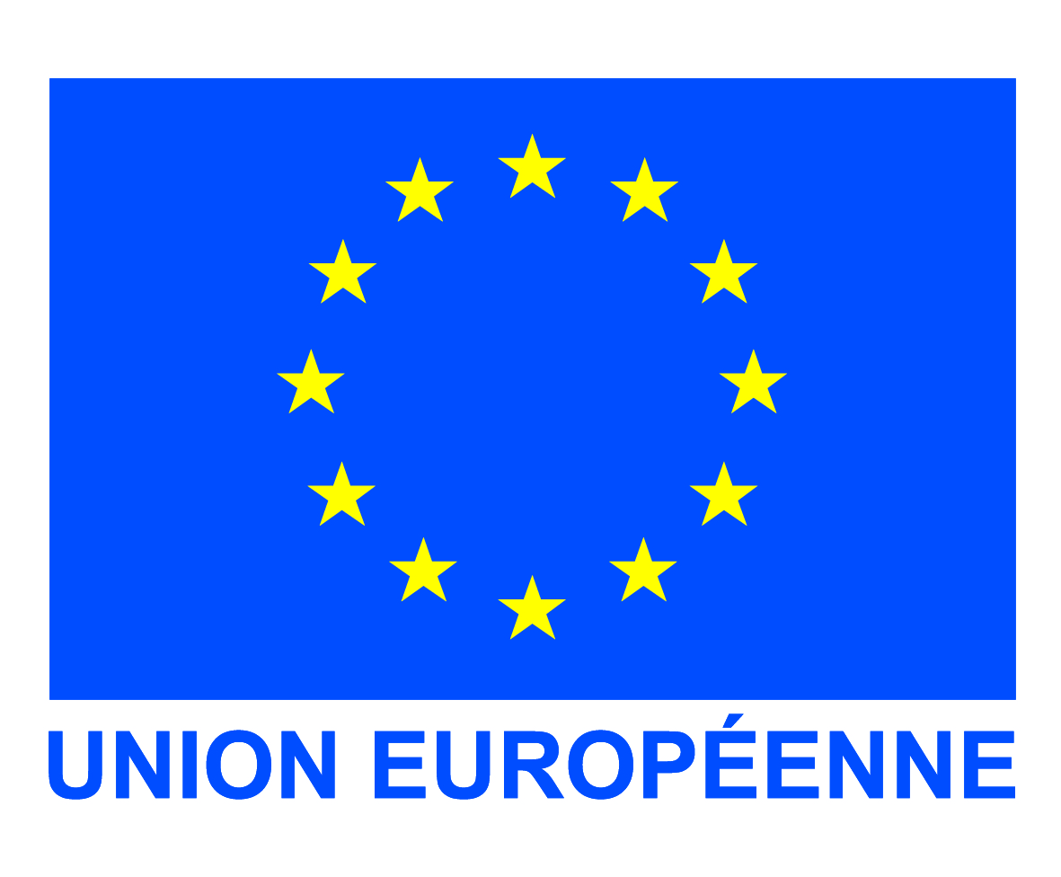 1 Logo UE quadrichromie