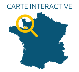 Carte Interactive CA MSM N